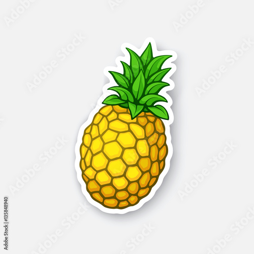 Vector illustration. Fresh tropical fruit pineapple. Healthy vegetarian food. Cartoon sticker in comics style with contour. Decoration for greeting cards, posters, patches, prints for clothes, emblems