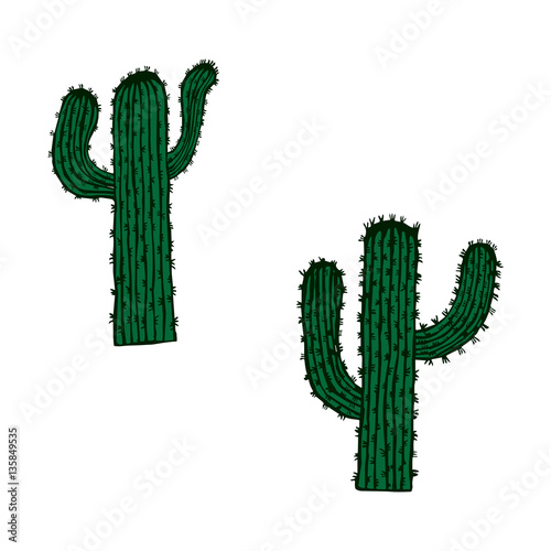 hand drawn sketch cactus