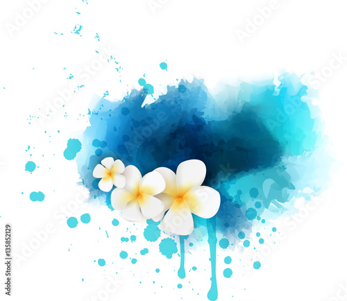 Abstract background with plumeria flowers