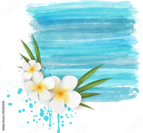 Plumeria on watercolor background
