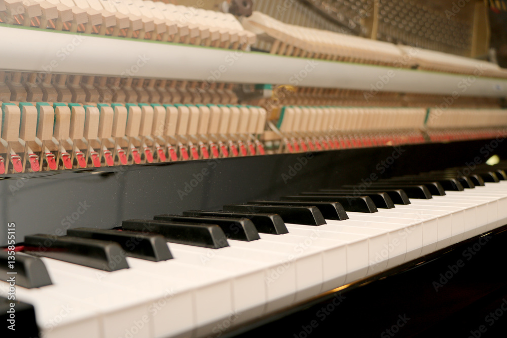 Close-up piano, white and black keyboard Close-up piano, white and black keyboard