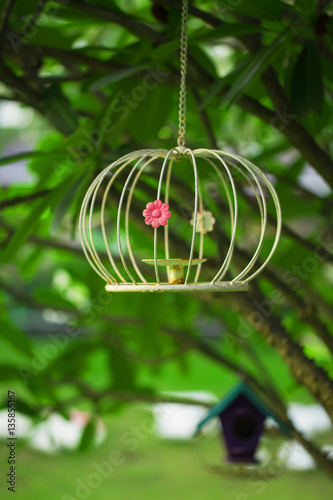 Decorative cage