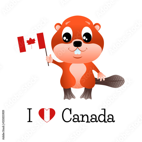 Beaver with canadian flag