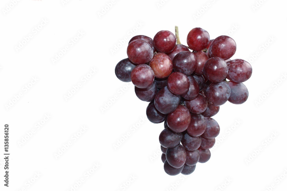 major red grapes on white background isolated major red grapes on white background isolated