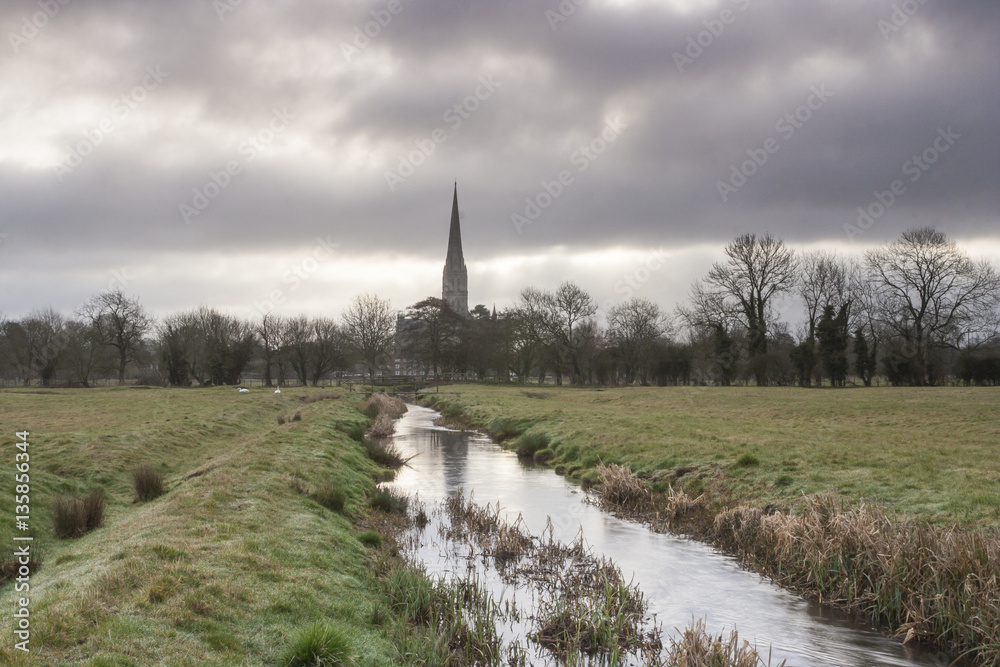 Salisbury cathedral and the water meadows. Salisbury cathedral and the water meadows.
