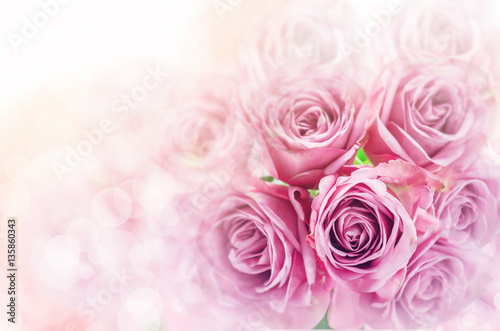Close up of rose flower bouquet with blur bokeh background