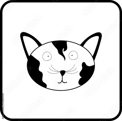 funny cat muzzle