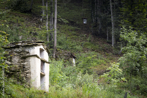 Percorso paesaggistico nel bosco photo