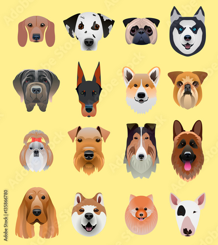 Set of cartoon dog faces.