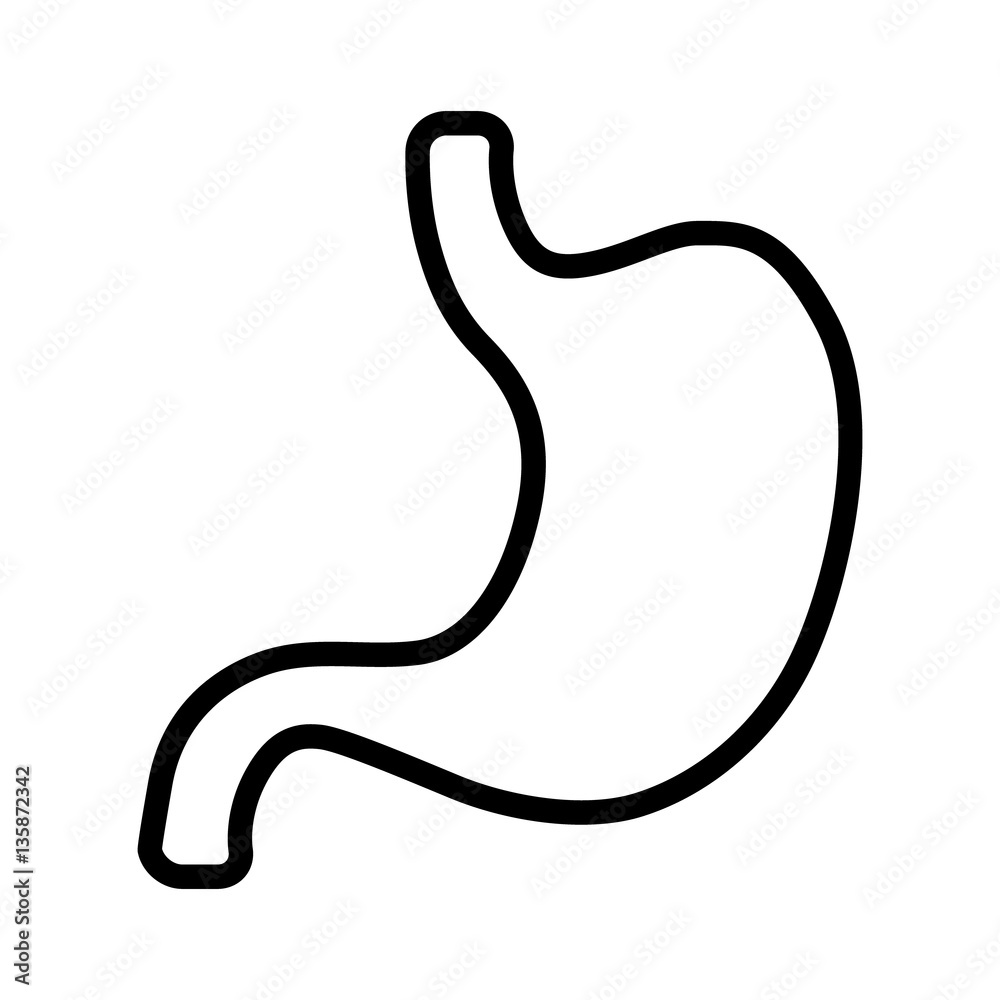 Human stomach line art vector icon for medical apps and websites Human stomach line art vector icon for medical apps and websites