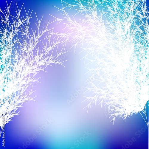 Winter trees  - vector illustration 