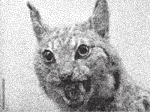 Stippled Lynx Head    - vector illutration  photo