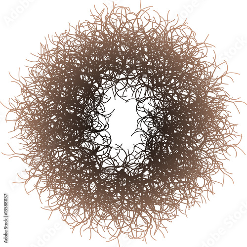 Organic Form - vector illustration
