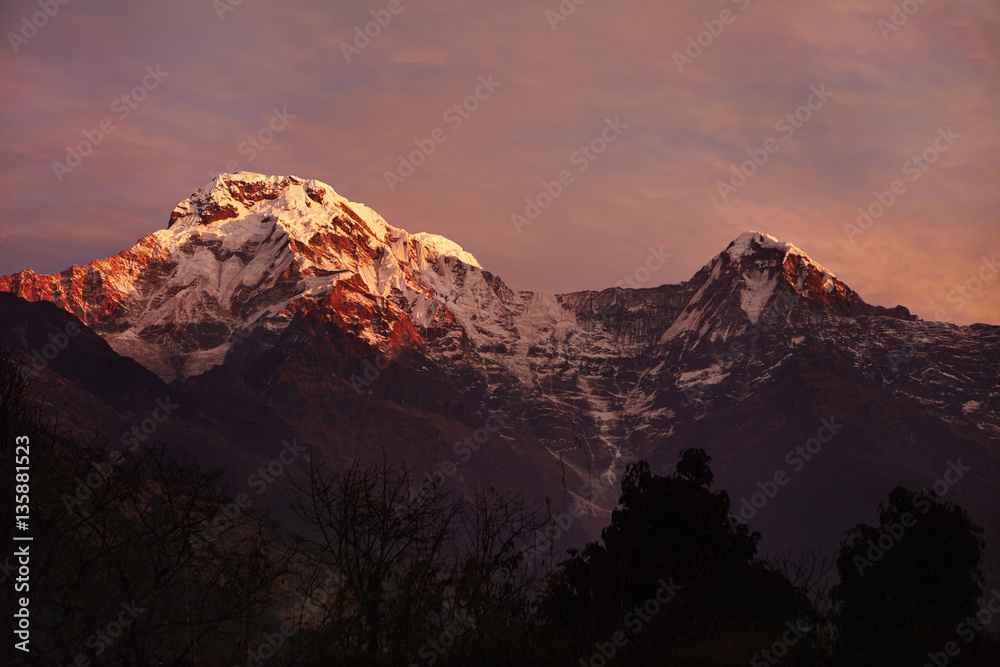 Gorgeous mountains of the Annapurna mountain range standing high in background with white craggy peaks lit with pink morning sunlight and covered with snow and ice. Famous alpine destination