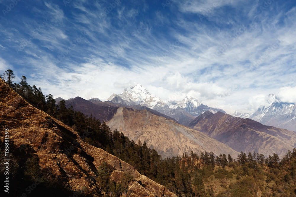 Mountains, highlands and altitude concept. Beautiful view of valley with dense forest and desolate slopes on sunny day. Snow capped summit of spectacular mountain ridge rising high in background Mountains, highlands and altitude concept. Beautiful view of valley with dense forest and desolate slopes on sunny day. Snow capped summit of spectacular mountain ridge rising high in background