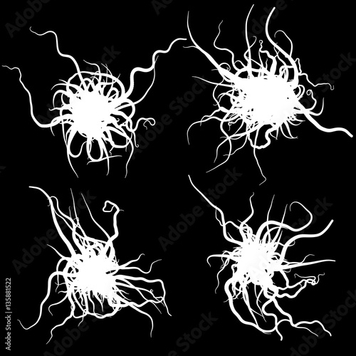 Round wads - vector illustration