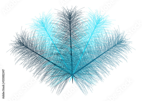 Transparent feathers fan   - vector illustration 