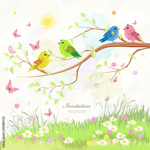 lovely greeting card with birds on branch tree and butterflies