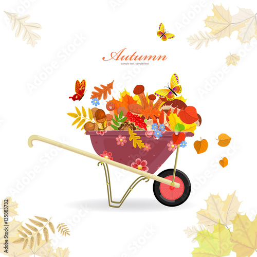 garden cart with mushrooms and autumn forest flora for your desi