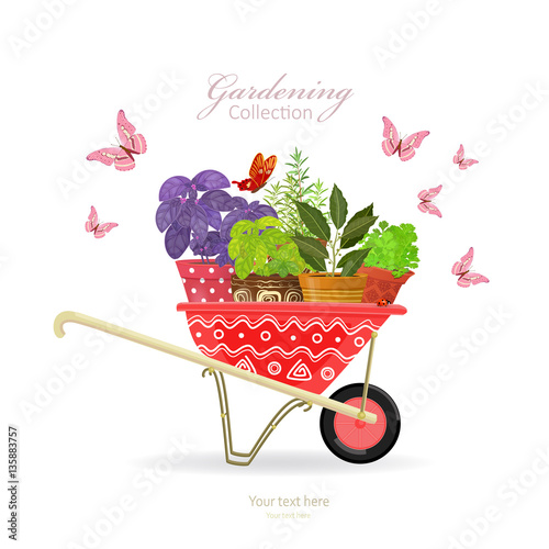 garden cart with planted herbs for your design
