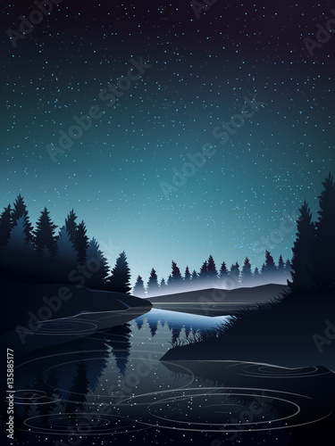 river in pine wood at night