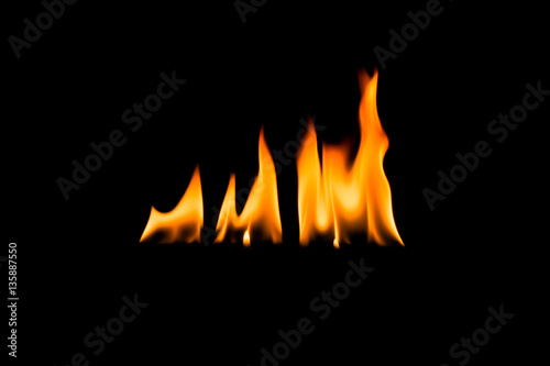 Fire flames. Black background.