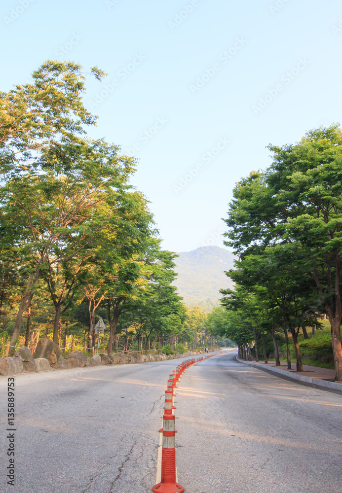 empty small asphalt road