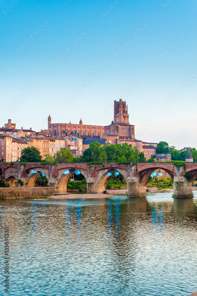 Obraz premium 22nd of August 1944 Bridge in Albi, France
