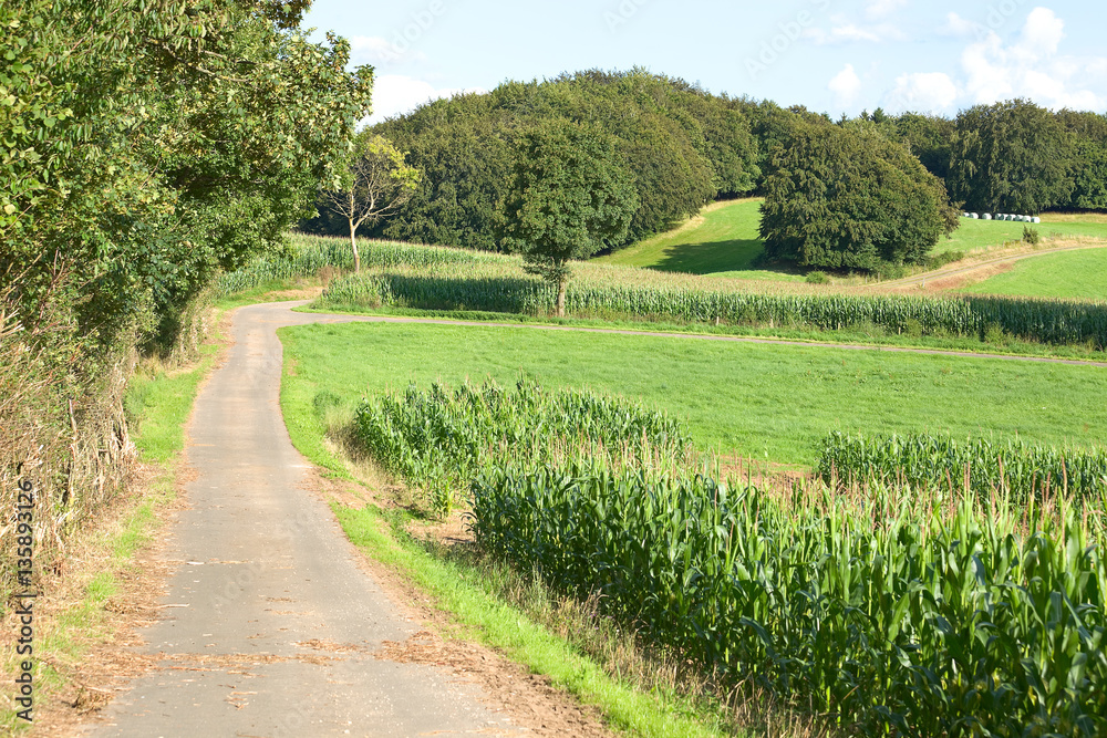 Eifel Landschaft