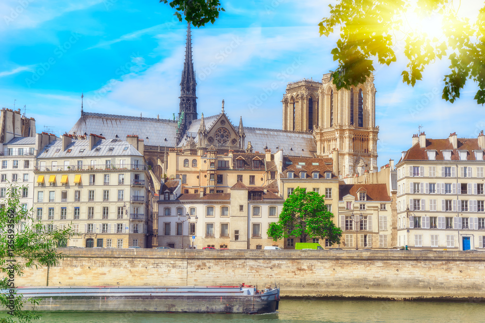 Obraz premium View of the River Seine and most beautiful cities in the world -