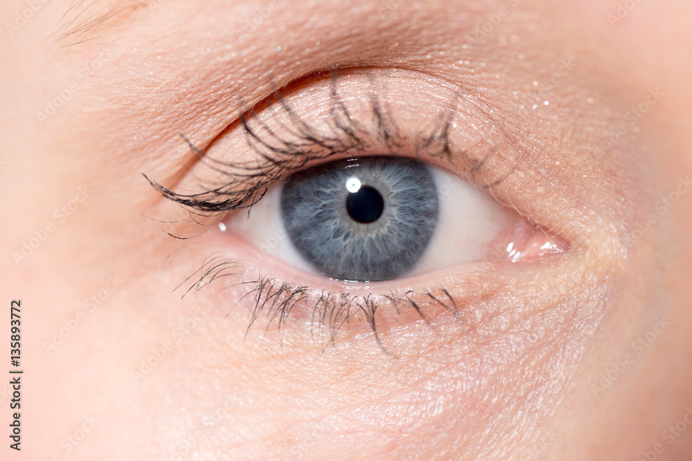 Closeup of a Woman's Eye Closeup of a Woman's Eye
