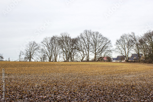 German countryside landscape, Lower Rhine Region