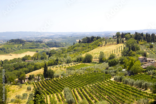 view of typical Tuscany landscape in summer  Italy