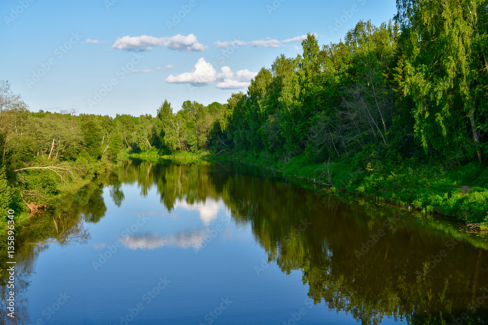 Forest and sky reflected in the river. Landscape.