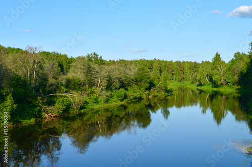 Forest and sky reflected in the river. Landscape.