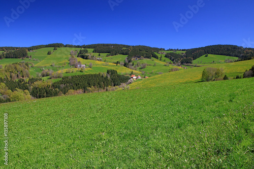 beautiful landscape in the Black Forest in Germany