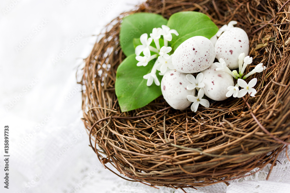 Obraz premium Easter composition - decorative nest with speckled eggs