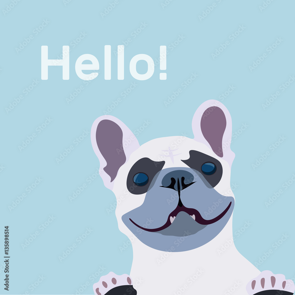 French Bulldog close-up with inscription - hello. Vector illustration of a dog greets