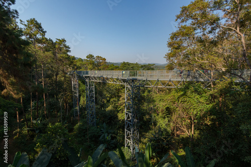 The Canopy walkway, Queen Sirikit Botanic Garden