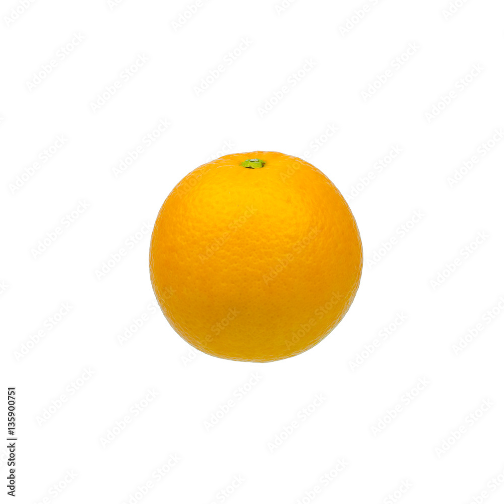 navel oranges on white background navel oranges on white background