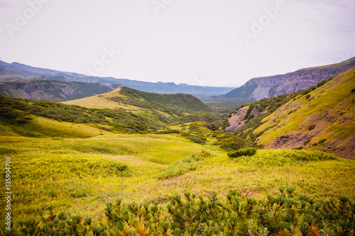 Green valley in the mountains. 