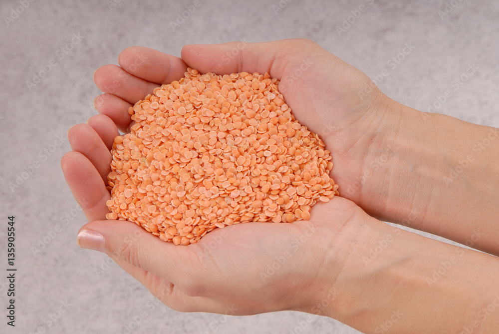orange raw lentil, grain is in female hands, handful of cereal, orange raw lentil, grain is in female hands, handful of cereal,