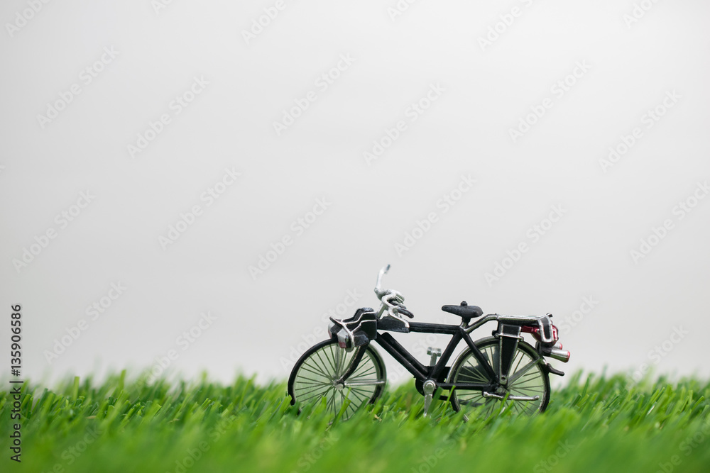 Obraz premium The Model toy