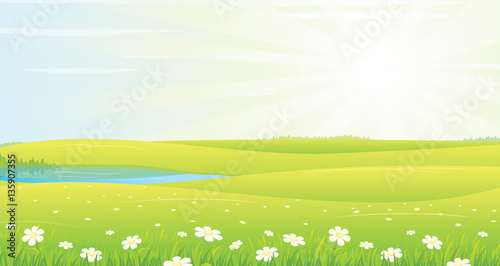 Summer Landscape