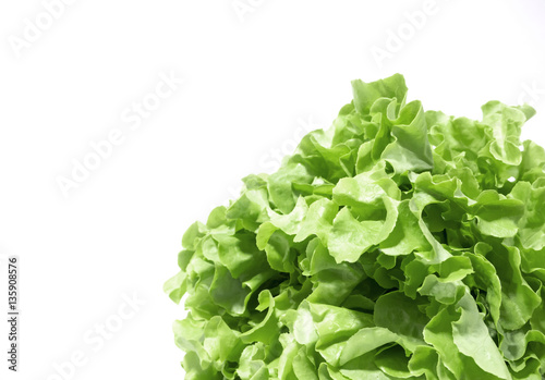 Green lettuce, vegetable on white background, diet concept