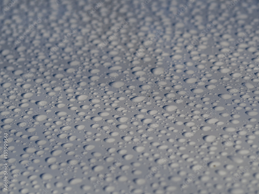 Fototapeta premium Wasserperlen Textur