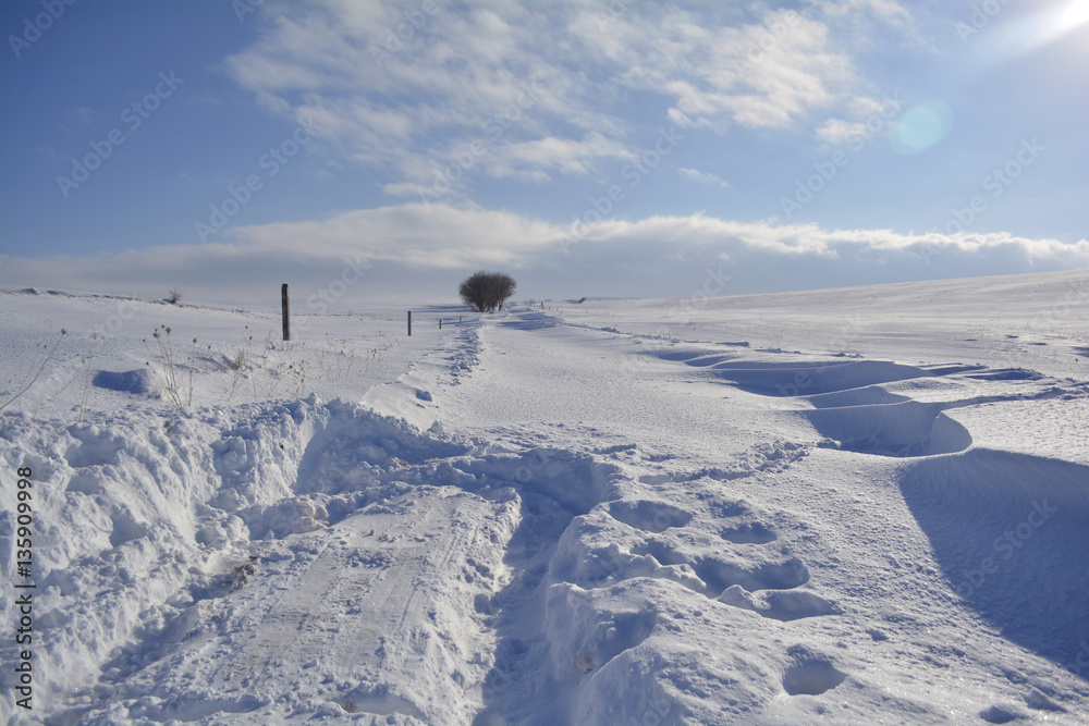 Naklejka premium countryside road in cold winter