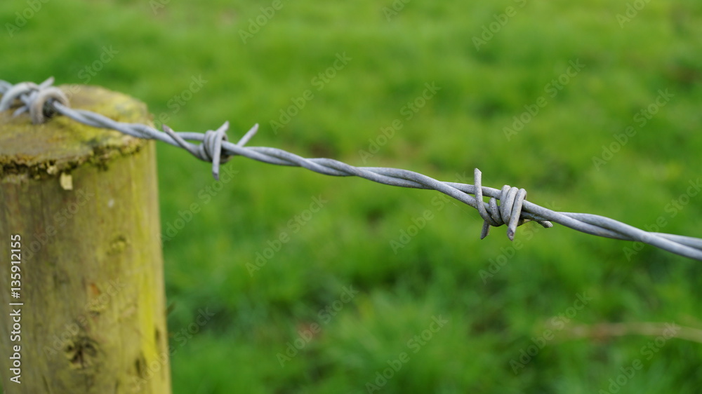 High angle view of barbed wire fence and wooden post