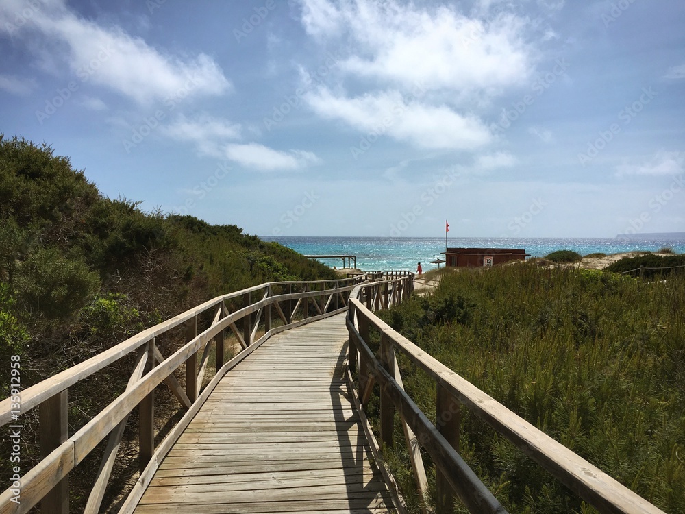 Wooden footpath leading to the beach