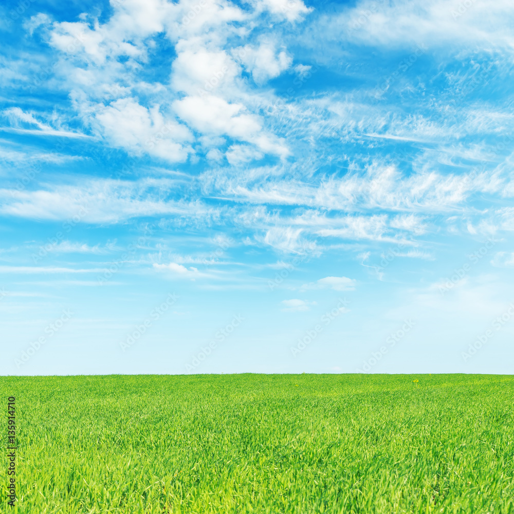 green grass and blue sky with clouds green grass and blue sky with clouds